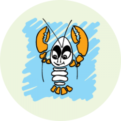16